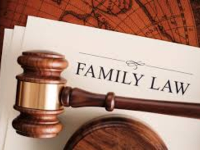 Family Lawyer